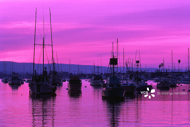 纽波特湾的黎明图片素材