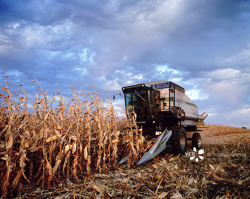 工作中的联合图片素材