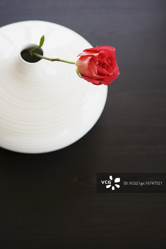 花瓶里的单支玫瑰图片素材