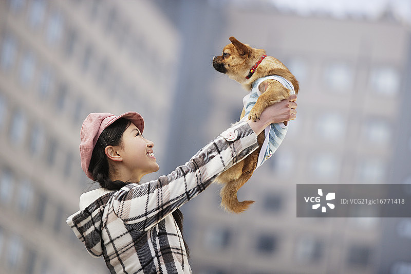 和吉娃娃在一起的女人图片素材