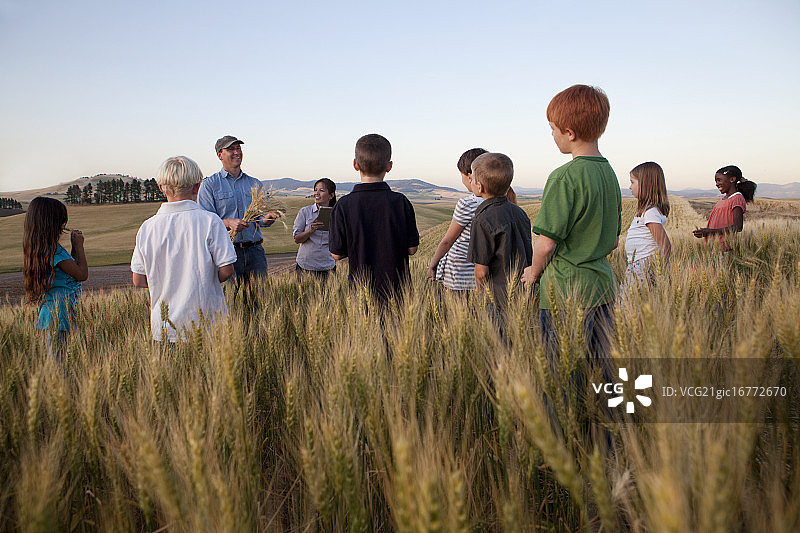 在麦田里旅行的儿童（6-7岁）图片素材