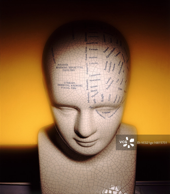 颅相学图片素材