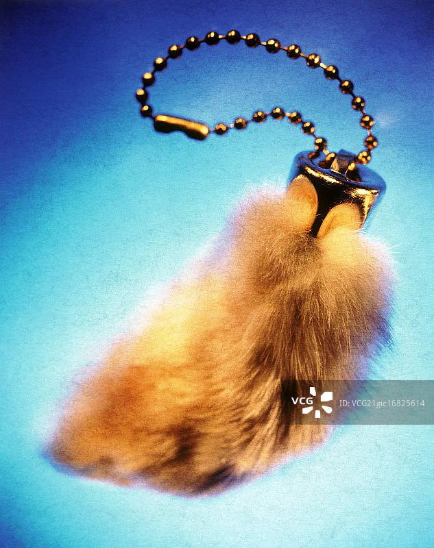 幸运兔脚图片素材