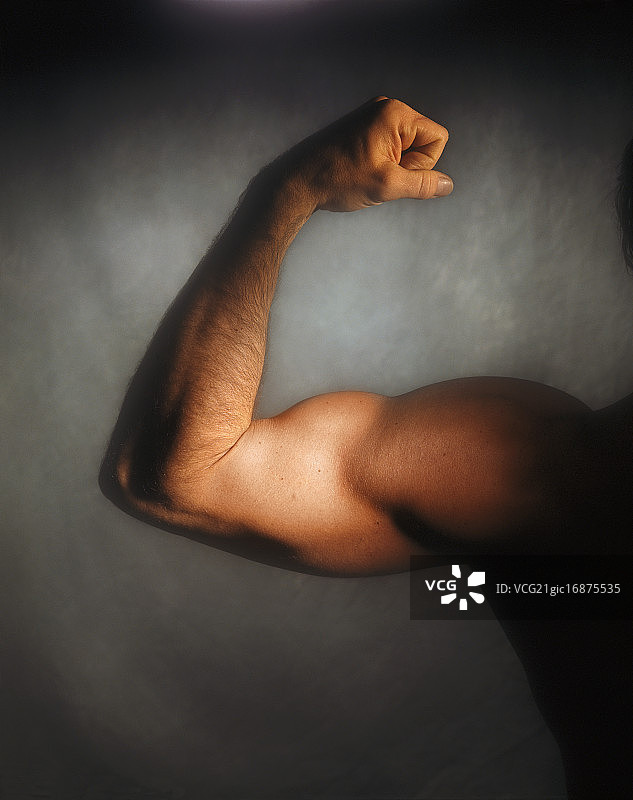 手臂肱二头肌弯曲图片素材