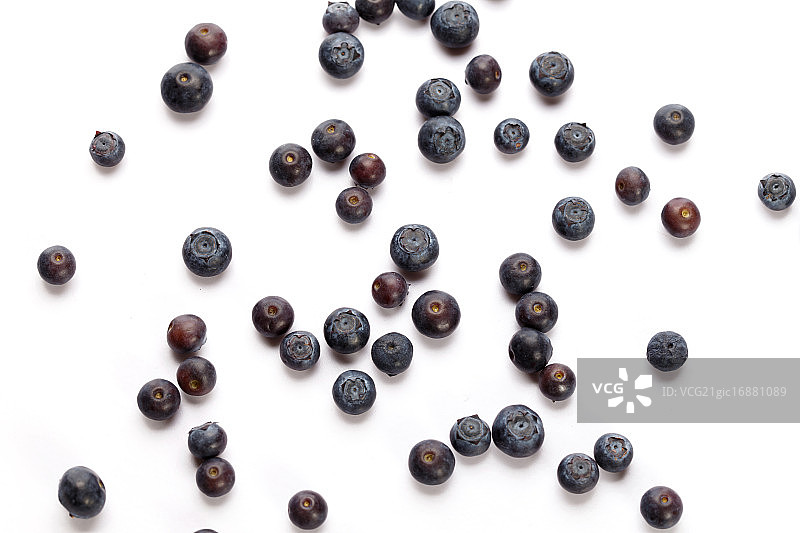 蓝莓图片素材