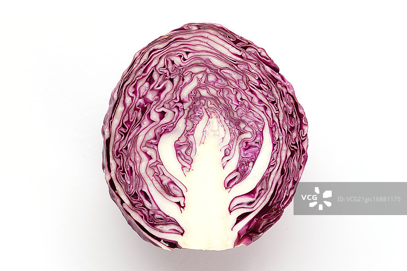 紫甘蓝图片素材