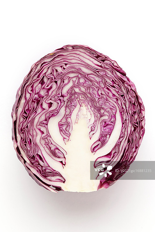 紫甘蓝图片素材