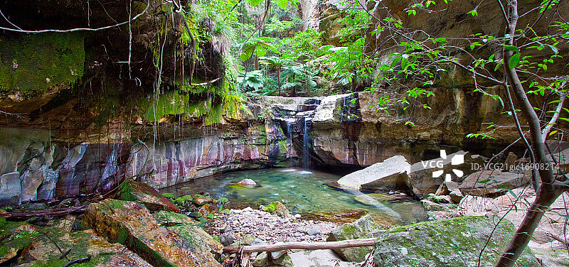 苔藓花园图片素材
