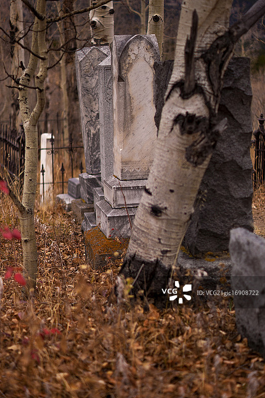 19世纪公墓图片素材