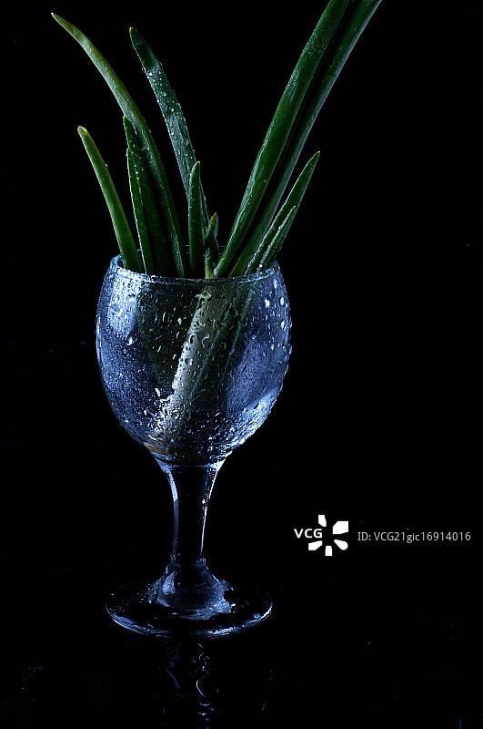 葱与韭菜图片素材