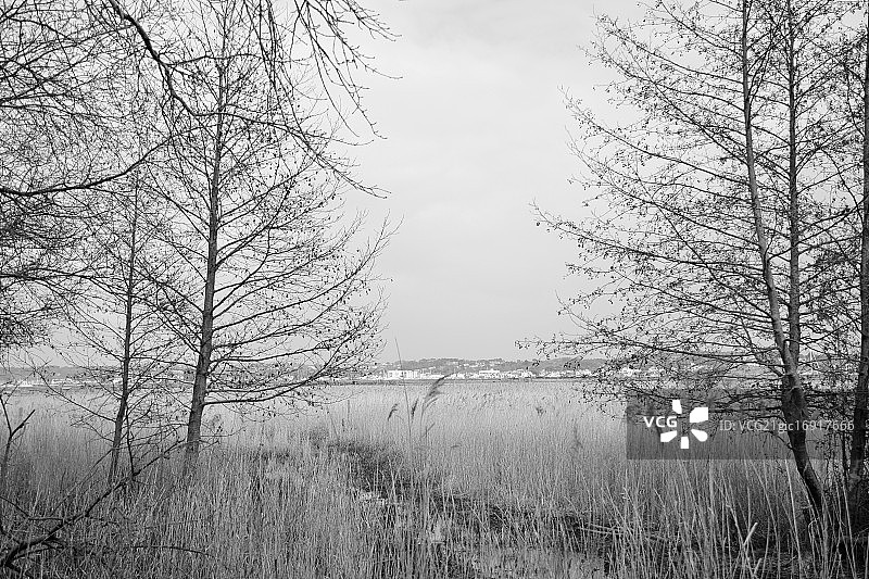 英国布朗sea岛图片素材