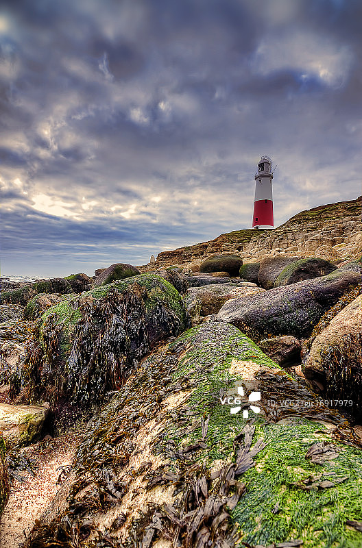 波特兰比尔图片素材