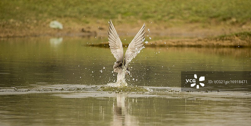 特恩河图片素材