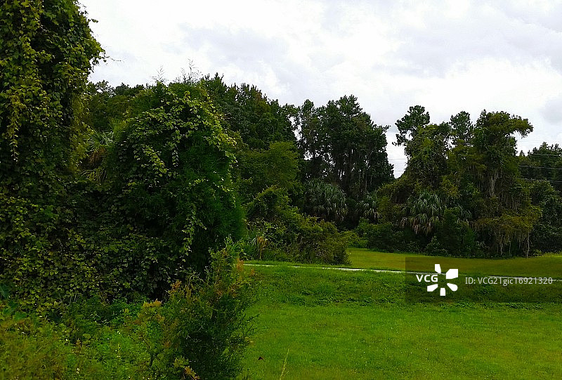 通往卢梭湖的小路图片素材