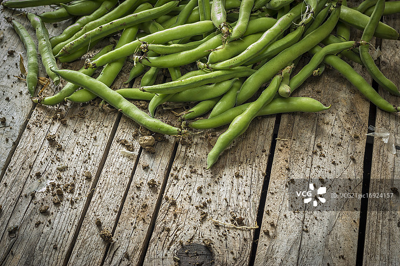 桌子上的绿豆图片素材