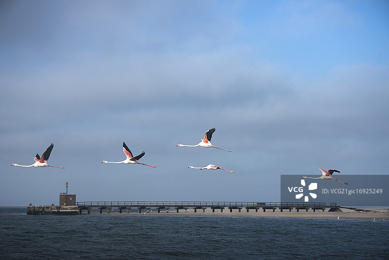 飞越鲸湾港图片素材