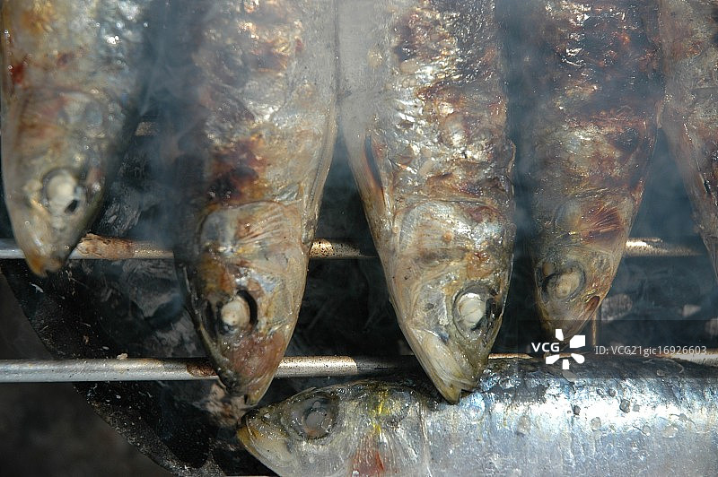 葡萄牙沙丁鱼图片素材