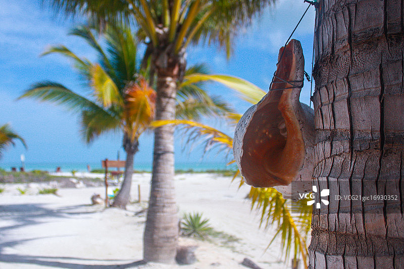 霍尔博克斯岛图片素材