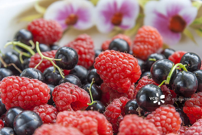 覆盆子和黑加仑混合图片素材
