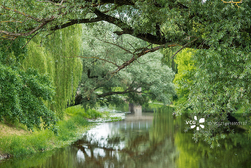 白俄罗斯布列斯特图片素材