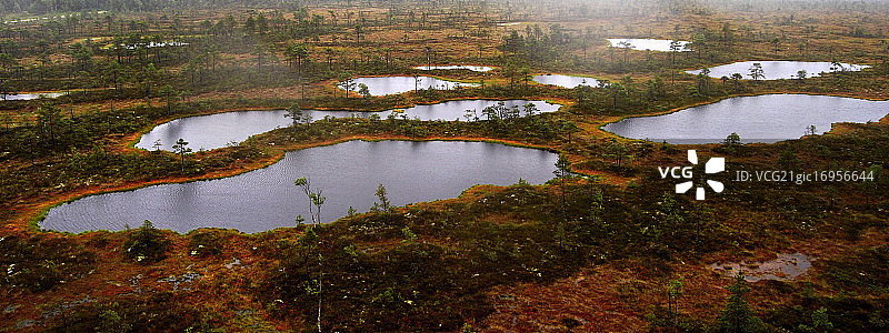 雨天沼泽图片素材