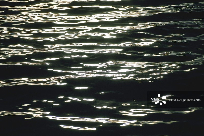 水面上的眩光图片素材