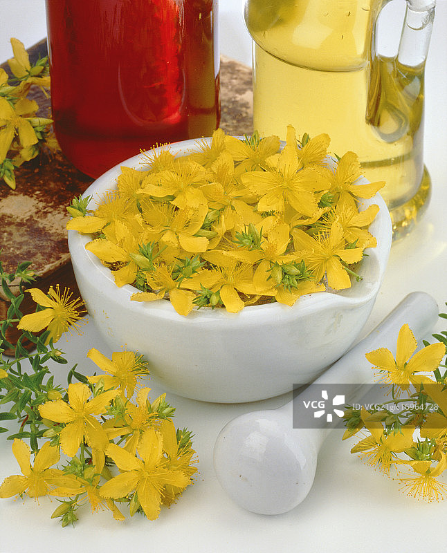 碗里的圣约翰草黄色花朵图片素材