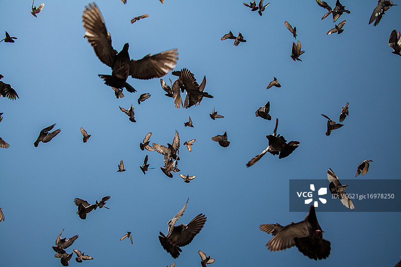 混沌理论图片素材