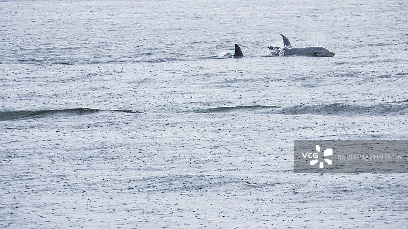 雨中赛跑图片素材