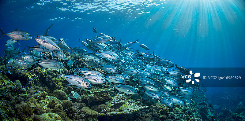 布鲁斯音乐精选图片素材