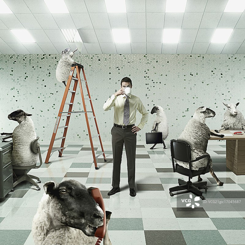 办公室里与绵羊同事在一起的商人图片素材
