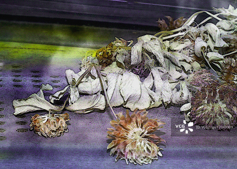 Nathan Griffith的战时生活图片素材