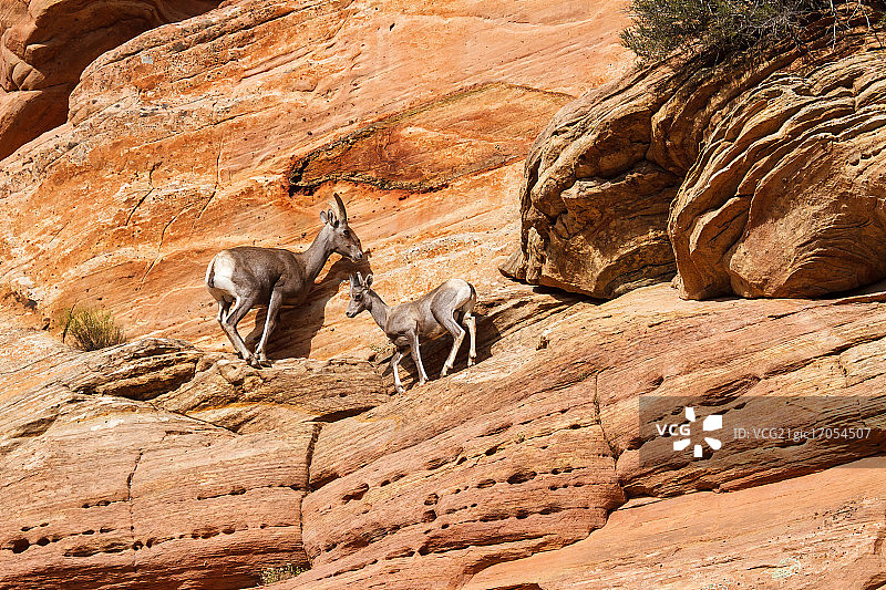 进退维谷图片素材