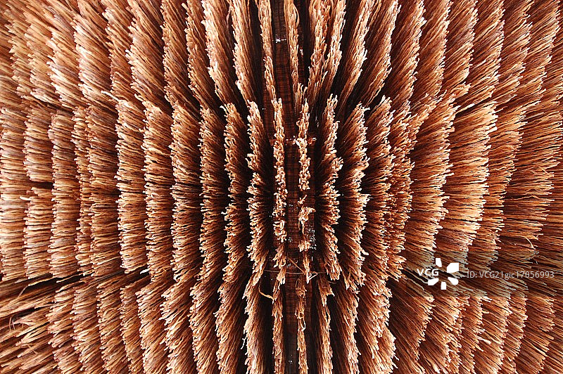 魔法师的学徒图片素材