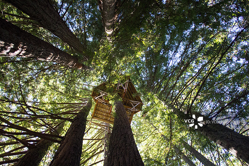 树屋和红木图片素材
