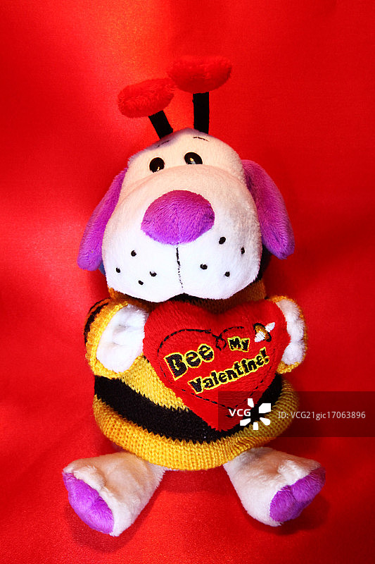 蜜蜂，我的情人！图片素材