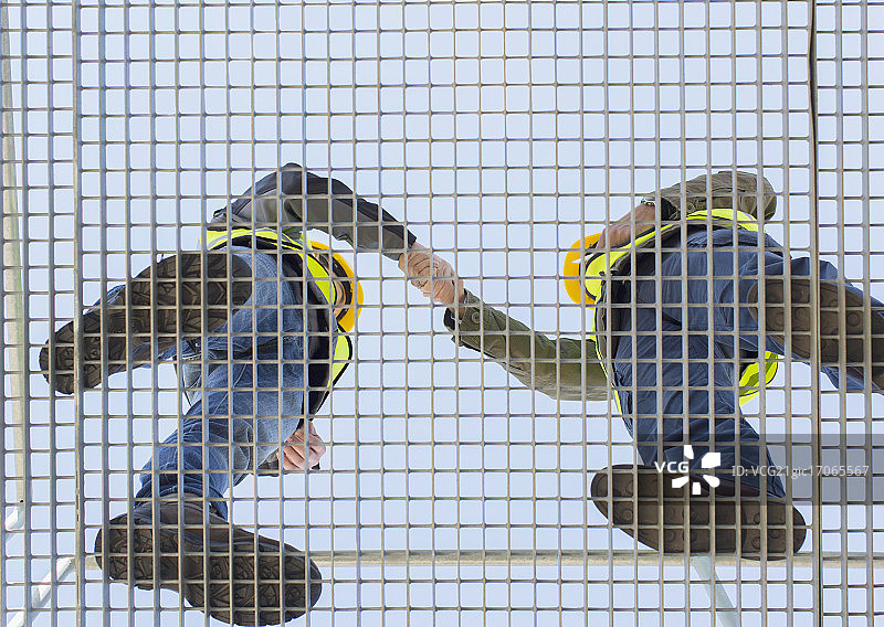 工人在格栅上握手图片素材