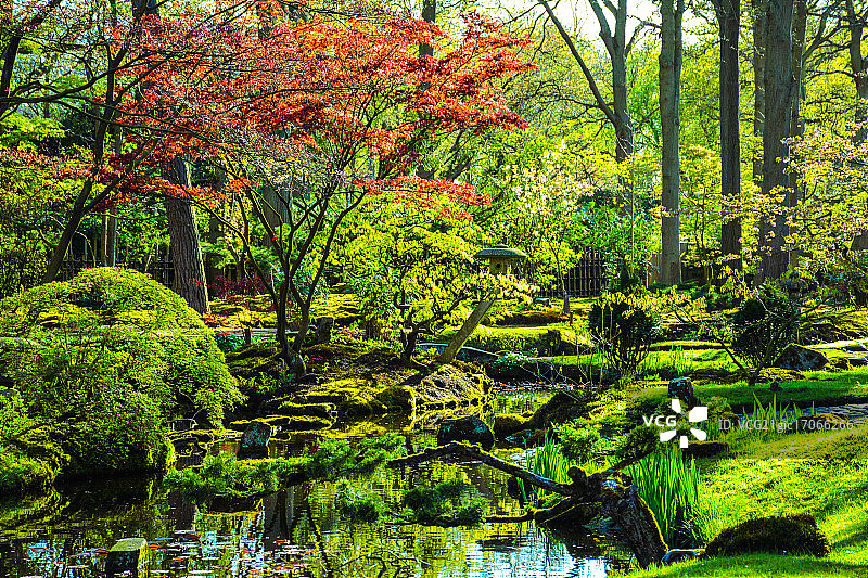 日式花园图片素材