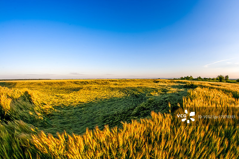 麦田圈附近图片素材
