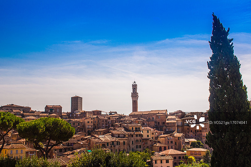 眺望锡耶纳图片素材