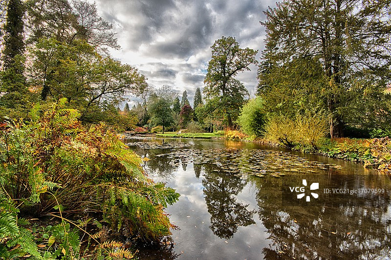 英式花园中的秋色图片素材