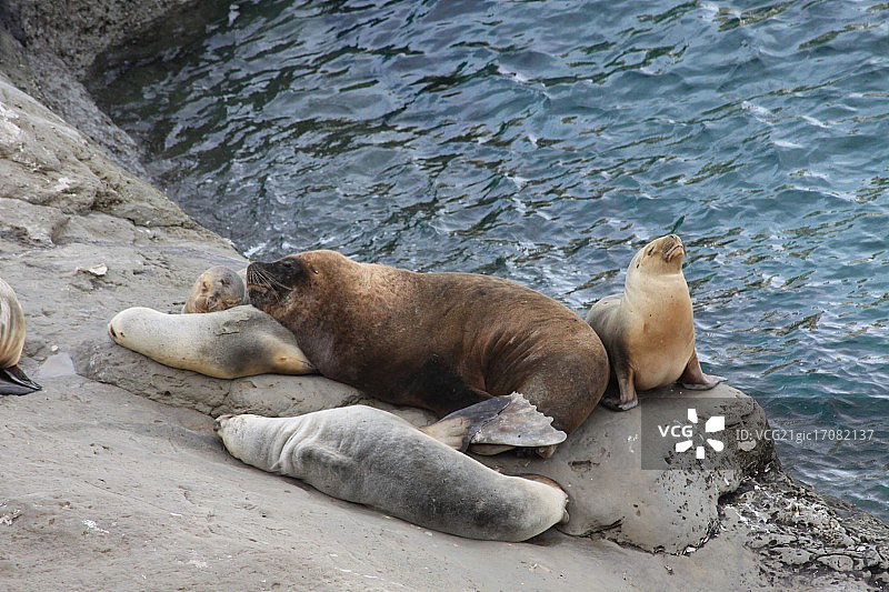 瓦尔德斯半岛图片素材