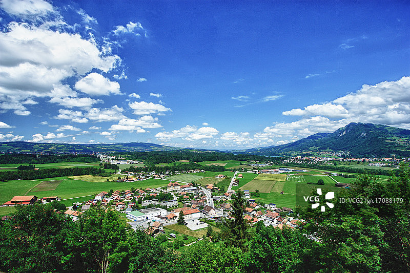 格鲁耶尔奶酪图片素材
