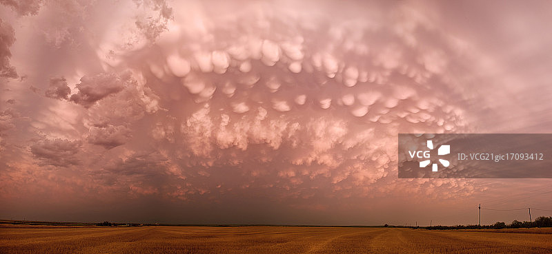 粉色乳状云图片素材