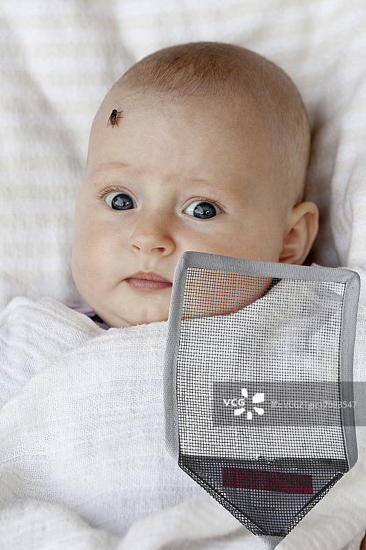 额头上有一只苍蝇的受惊婴儿图片素材