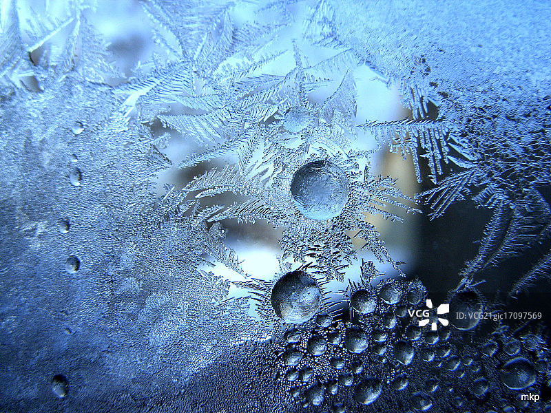 微观世界图片素材