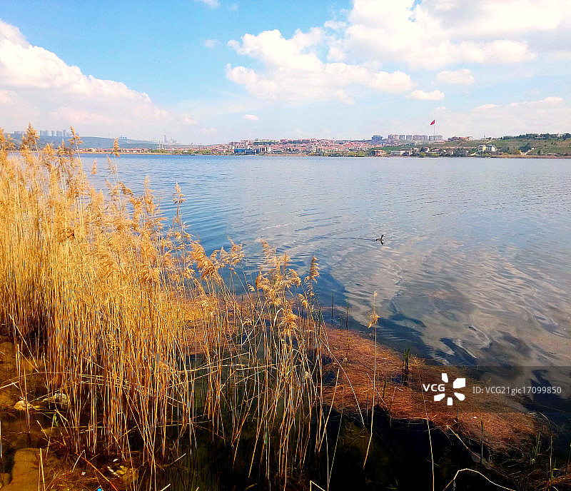 安卡拉莫甘湖图片素材