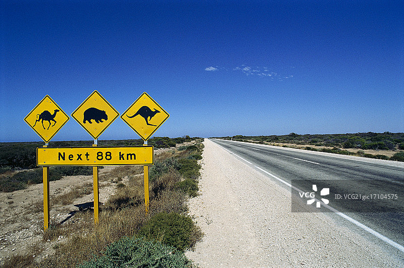 动物森友会标志图片素材