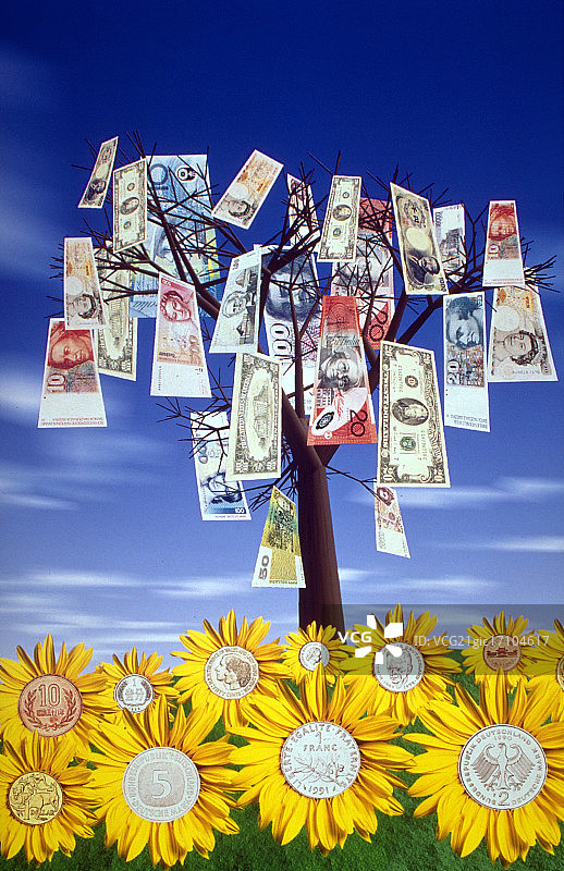 金钱树图片素材