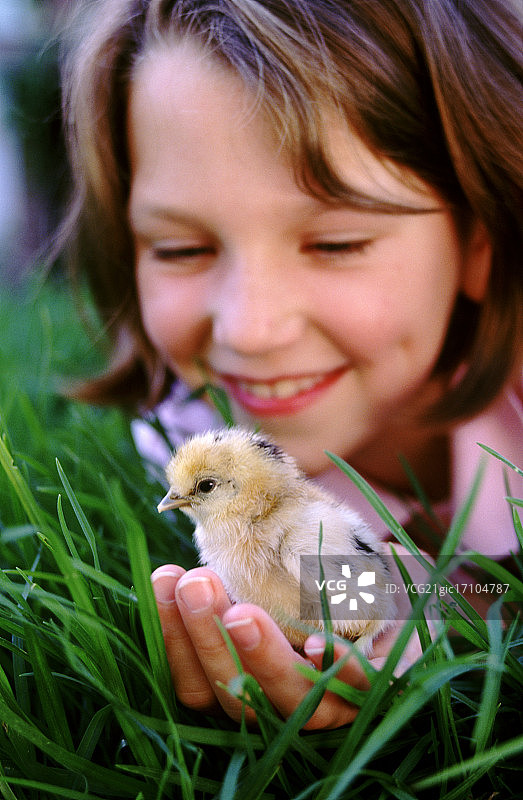 女孩抱着小鸡图片素材